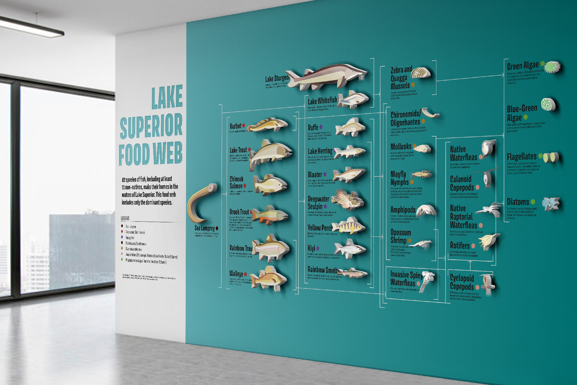 museum-wall-design